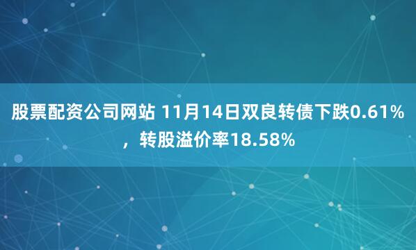 股票配资公司网站 11月14日双良转债下跌0.61%,转股溢价率18.58%