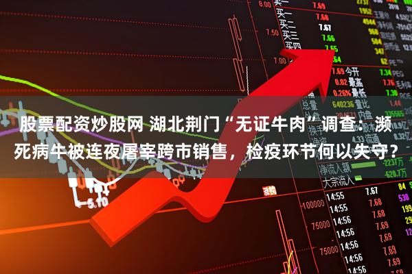 股票配资炒股网 湖北荆门“无证牛肉”调查：濒死病牛被连夜屠宰跨市销售，检疫环节何以失守？